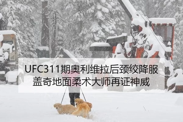 UFC311期奥利维拉后颈绞降服盖奇地面柔术大师再证神威